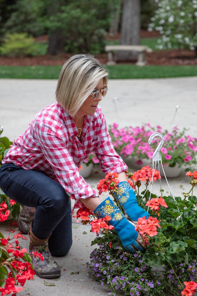 5 Essential Tips on Planting Flowers featured by top US life and style blogger, Dawned on Me: image of beautiful blooming flowers