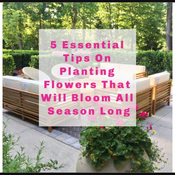 5 Essential Tips on Planting Flowers That Will Bloom All Season Long